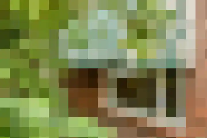 Julianalaan 39 Bergschenhoek thumbnail 12