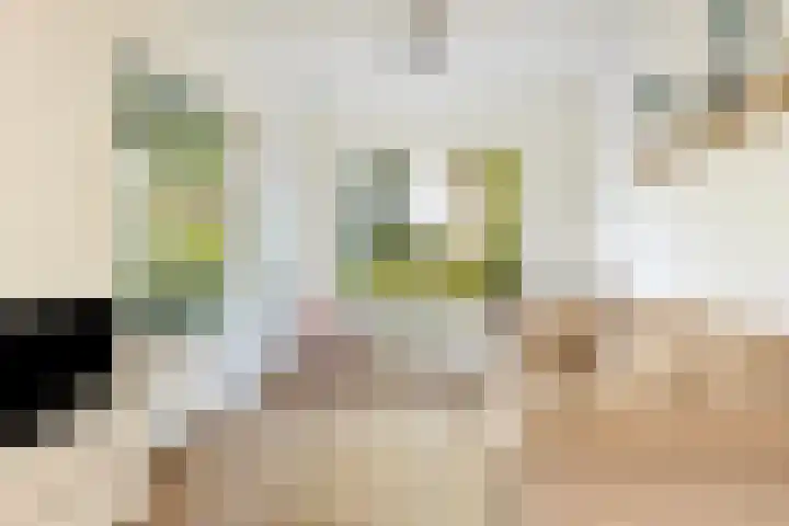 Julianalaan 39 Bergschenhoek thumbnail 18