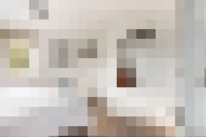 Julianalaan 39 Bergschenhoek thumbnail 21