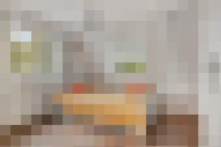Julianalaan 39 Bergschenhoek thumbnail 22