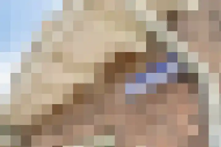 Julianalaan 39 Bergschenhoek thumbnail 24