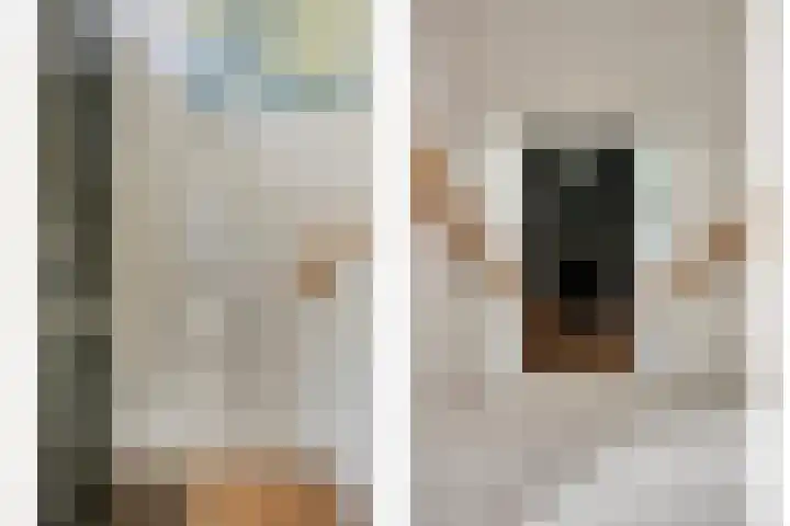 Julianalaan 39 Bergschenhoek thumbnail 5