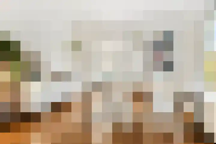 Julianalaan 39 Bergschenhoek thumbnail 7