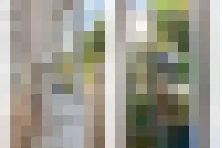 Julianalaan 39 Bergschenhoek thumbnail 8