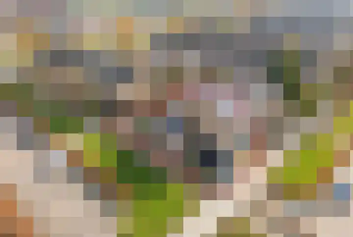 Julianalaan 39 De Rijp