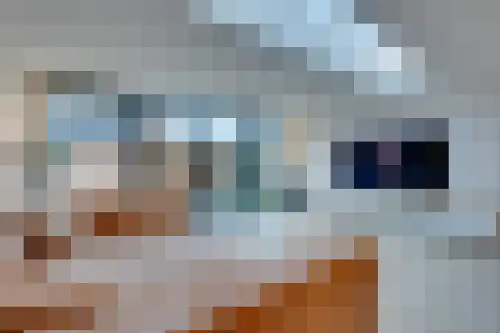 Julianalaan 39 De Rijp thumbnail 12