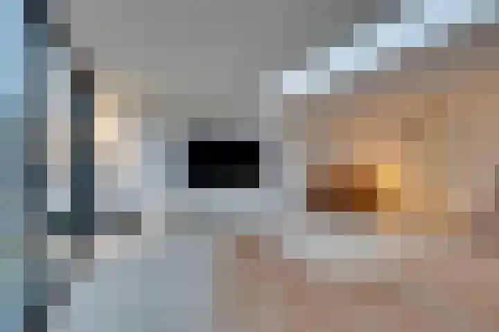 Julianalaan 39 De Rijp thumbnail 14