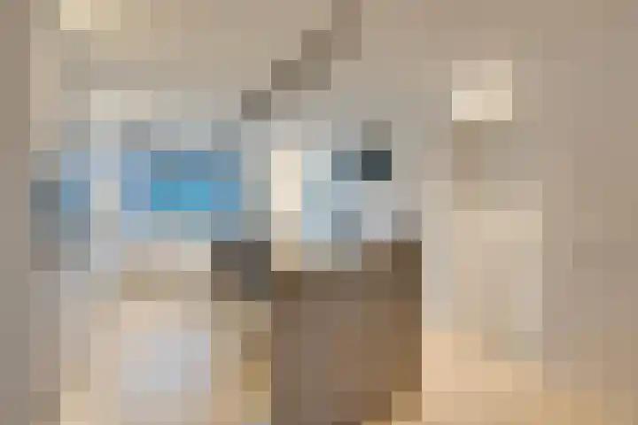 Julianalaan 39 De Rijp thumbnail 17