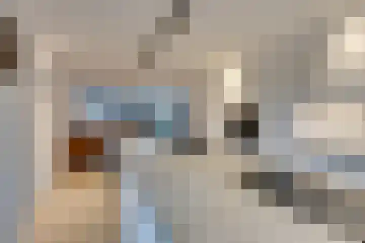 Julianalaan 39 De Rijp thumbnail 19