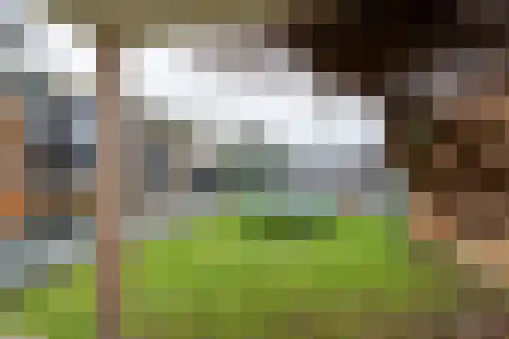 Julianalaan 39 De Rijp thumbnail 25