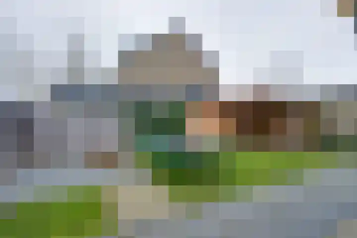 Julianalaan 39 De Rijp thumbnail 27