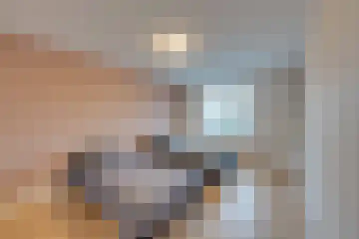 Julianalaan 39 De Rijp thumbnail 30