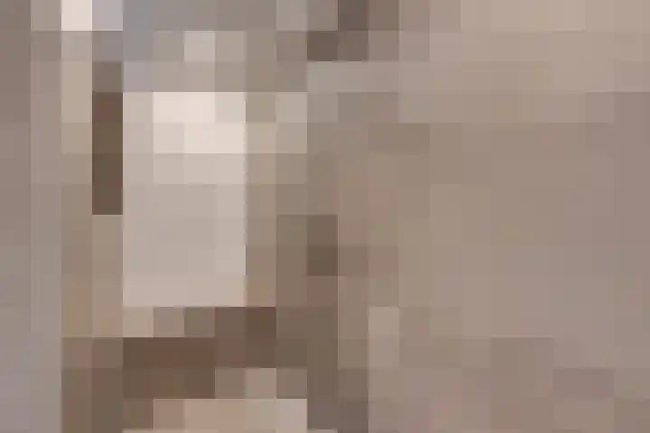 Julianalaan 39 De Rijp thumbnail 36