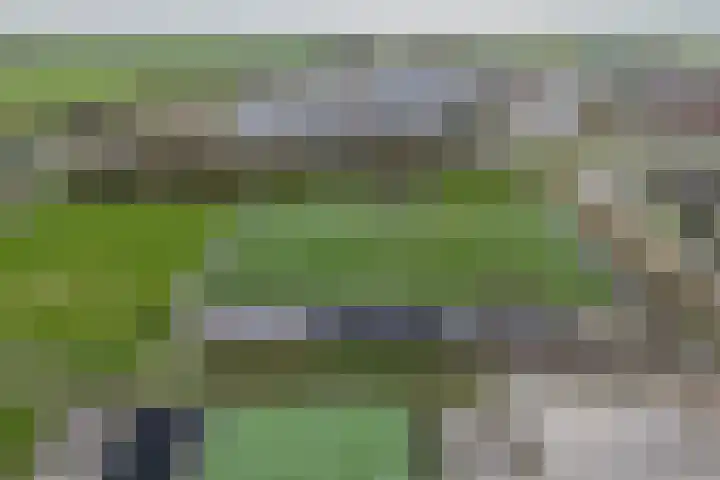 Julianalaan 39 De Rijp thumbnail 58