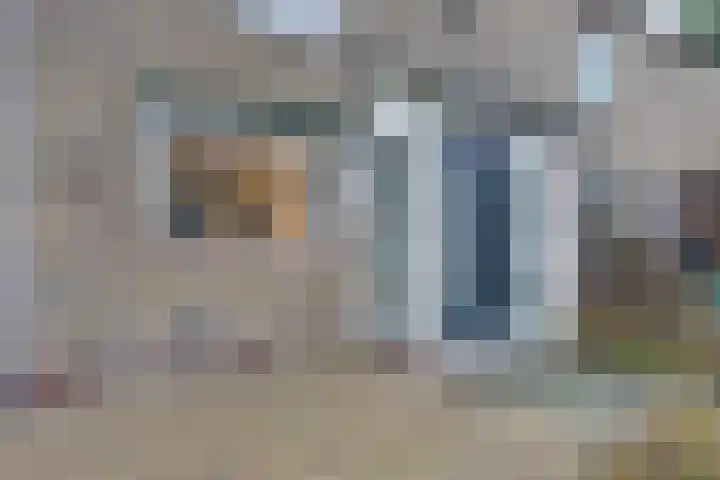 Julianalaan 39 De Rijp thumbnail 7