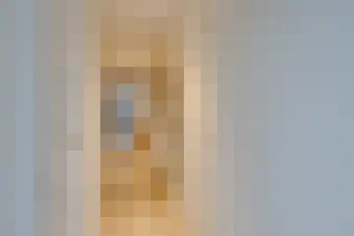 Julianalaan 39 De Rijp thumbnail 9