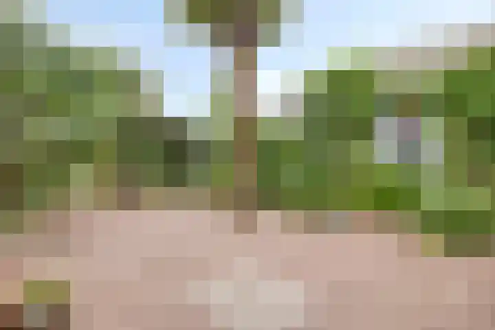 Julianalaan 39 Roermond thumbnail 28