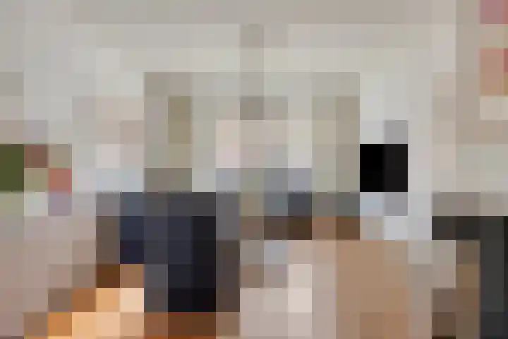 Julianalaan 39 Roermond thumbnail 8