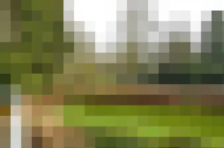 Julianalaan 4 0102 Baarn thumbnail 20