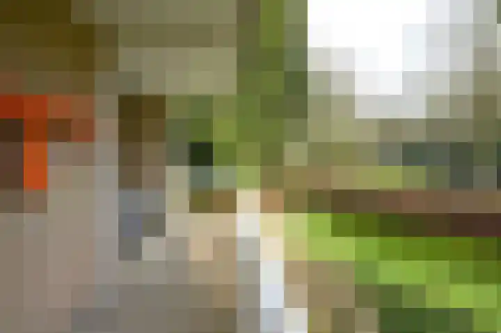 Julianalaan 4 0102 Baarn thumbnail 21