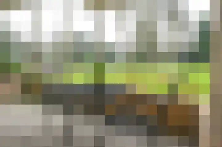Julianalaan 4 0105 Baarn thumbnail 19
