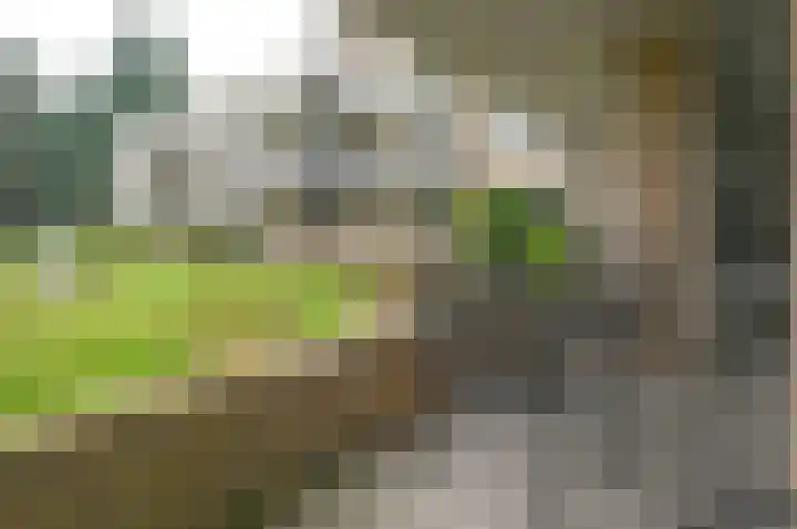 Julianalaan 4 0105 Baarn thumbnail 20