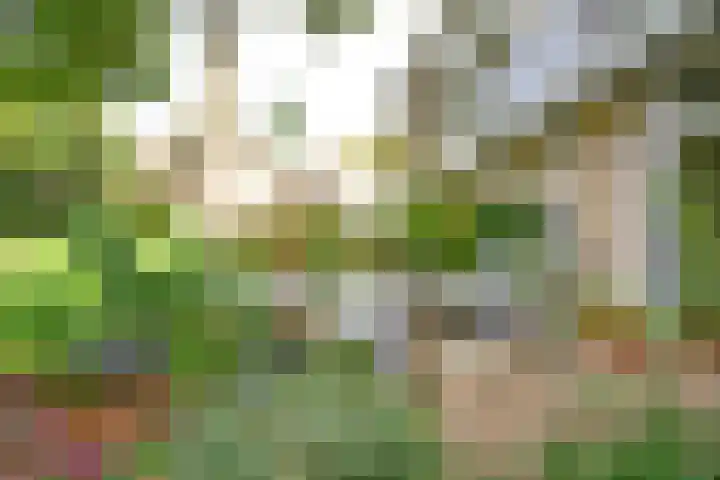 Julianalaan 4 0110 Baarn thumbnail 17
