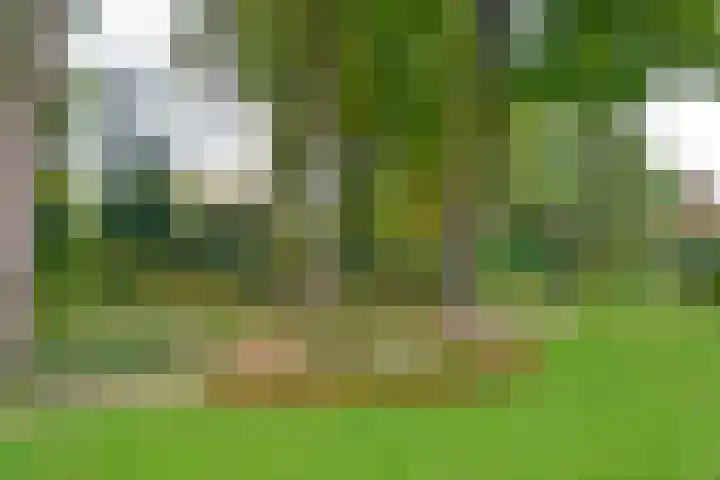 Julianalaan 4 0110 Baarn thumbnail 18