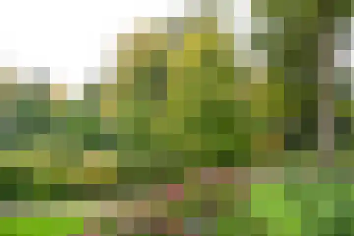 Julianalaan 4 0110 Baarn thumbnail 19