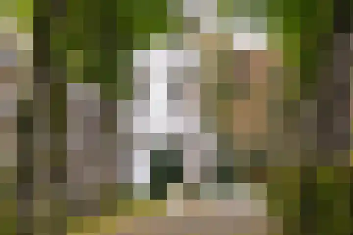 Julianalaan 4 0110 Baarn thumbnail 20