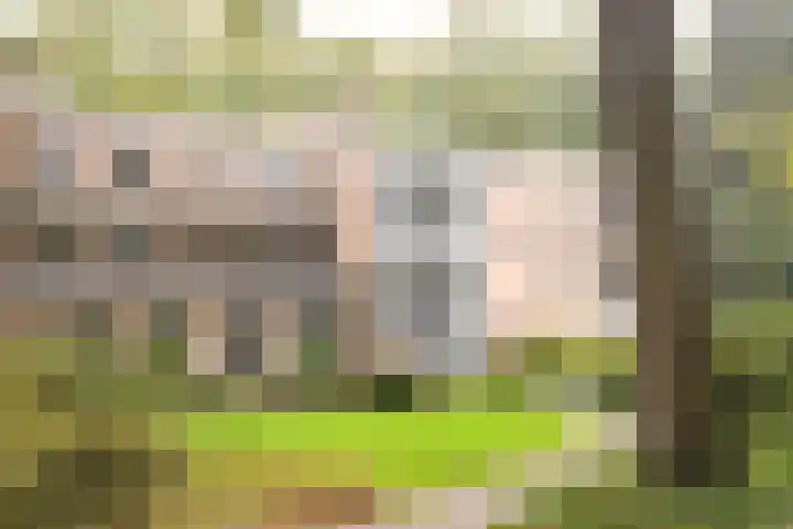 Julianalaan 4 0110 Baarn thumbnail 21