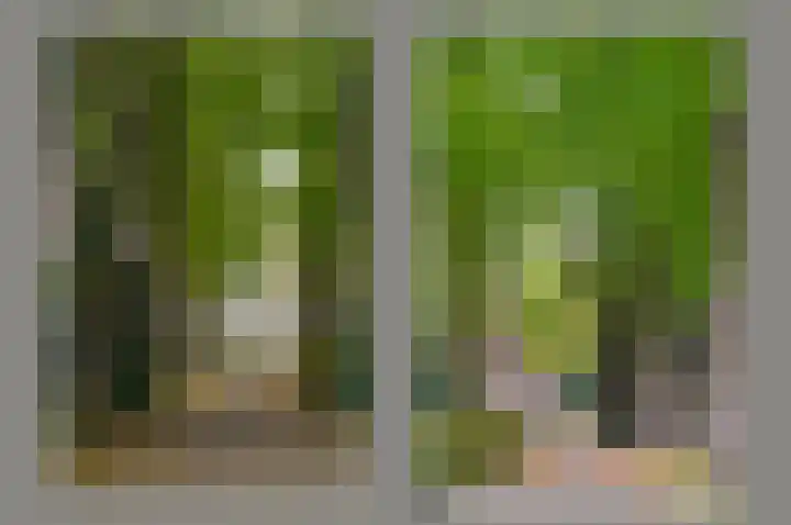 Julianalaan 4 0110 Baarn thumbnail 22