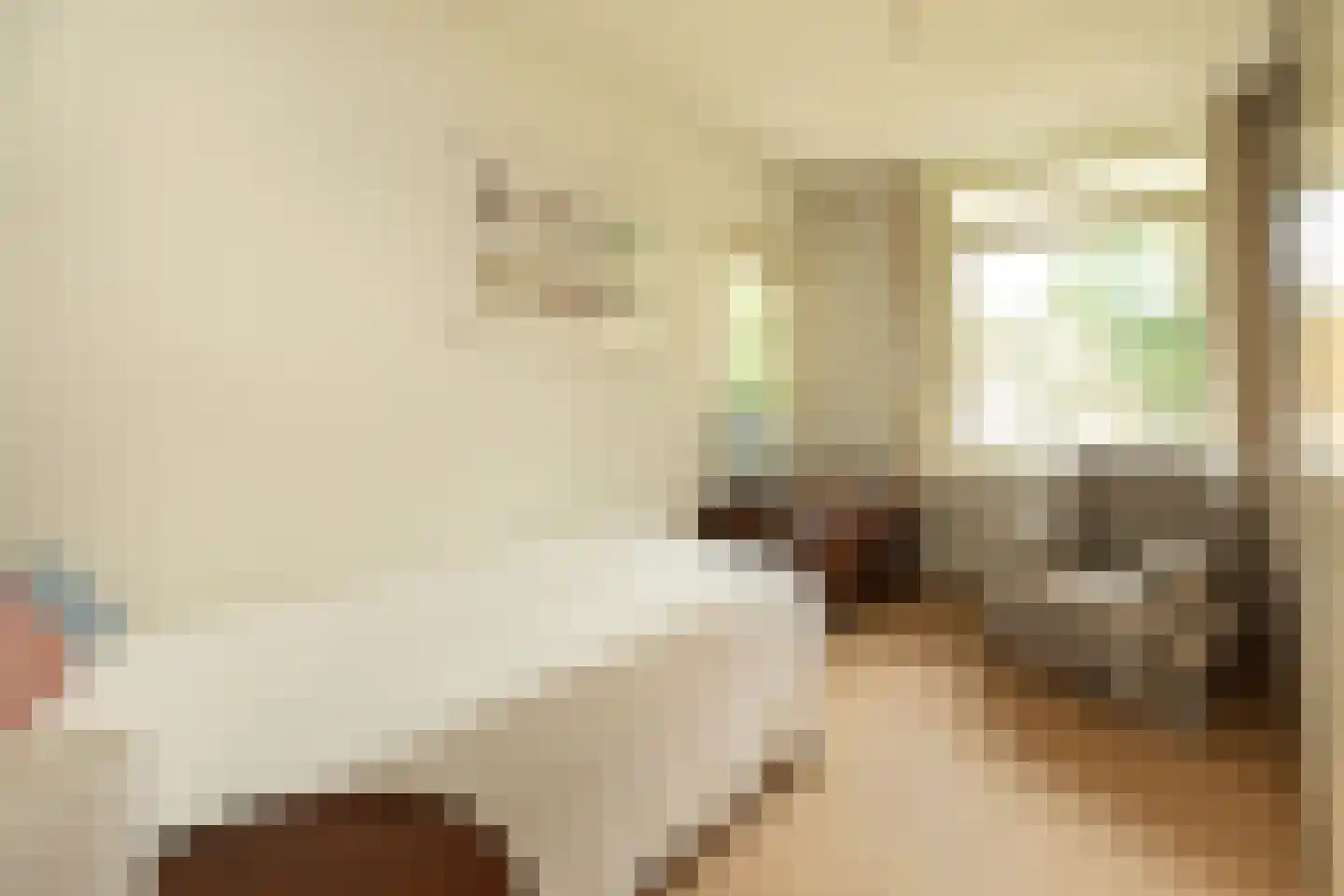 Julianalaan 4 0203 Baarn thumbnail 18