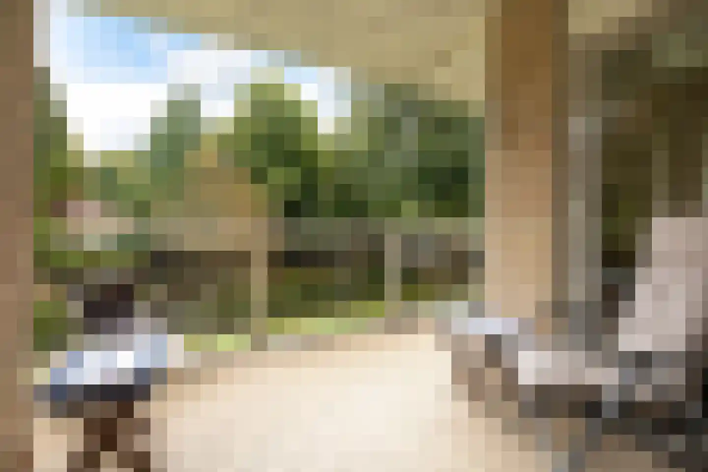 Julianalaan 4 0203 Baarn thumbnail 23
