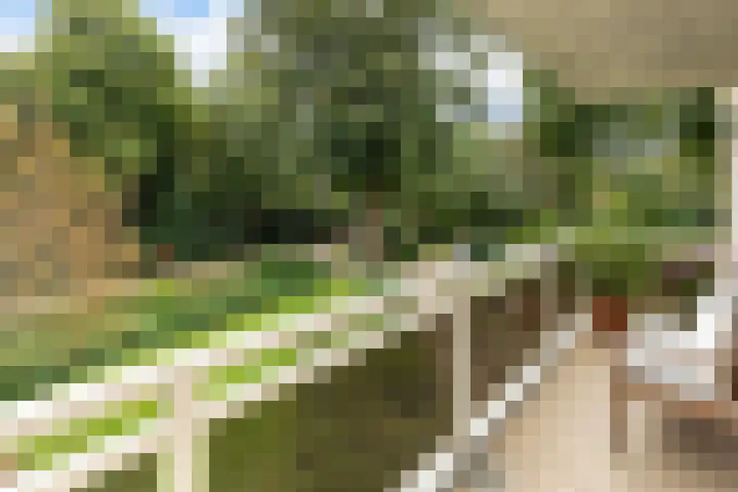Julianalaan 4 0203 Baarn thumbnail 24