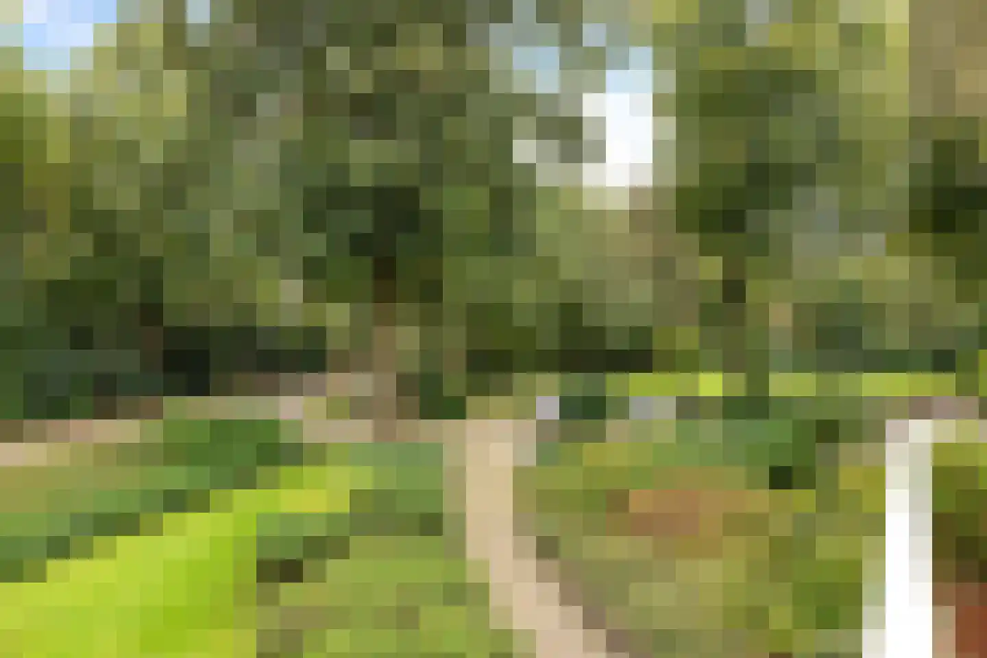 Julianalaan 4 0203 Baarn thumbnail 25