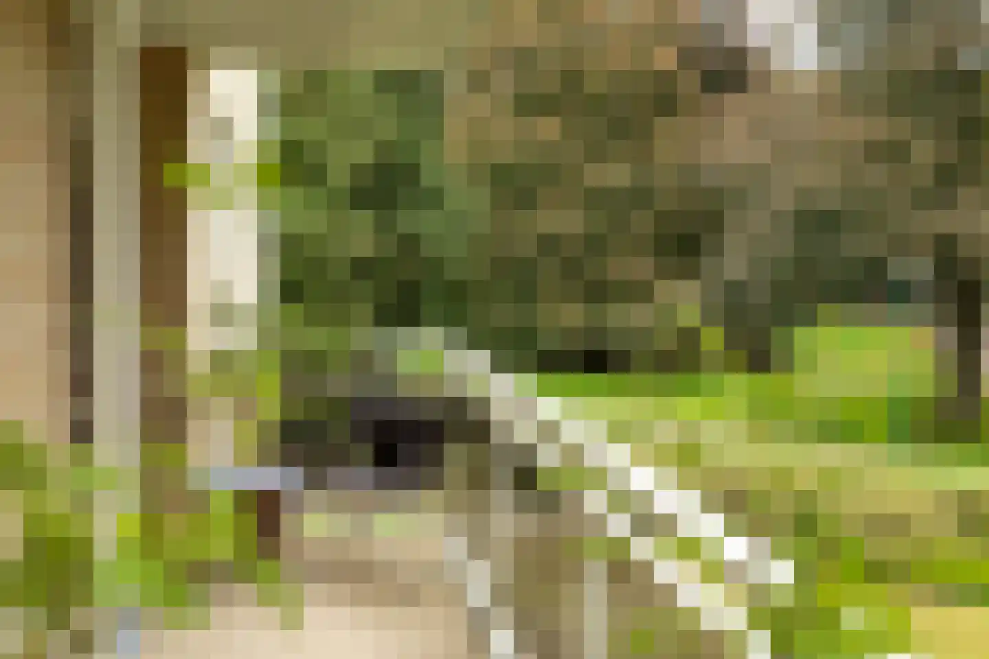 Julianalaan 4 0203 Baarn thumbnail 26