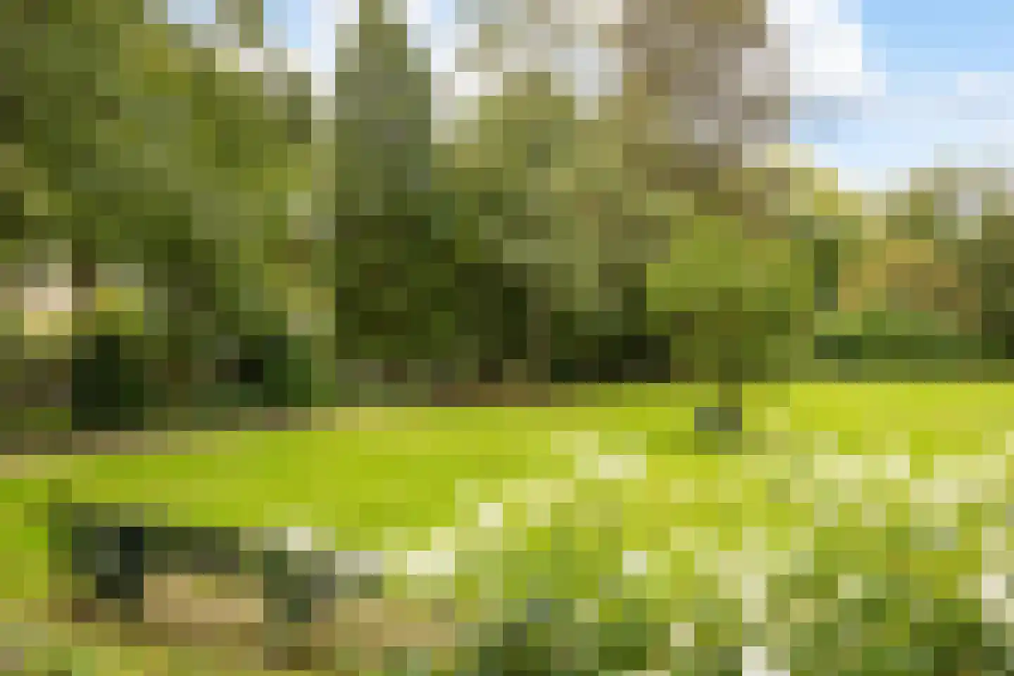 Julianalaan 4 0203 Baarn thumbnail 27