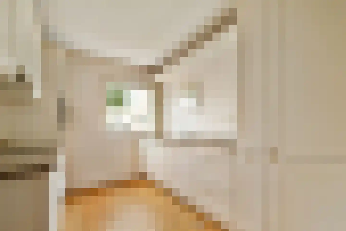 Julianalaan 4 0207 Baarn thumbnail 12
