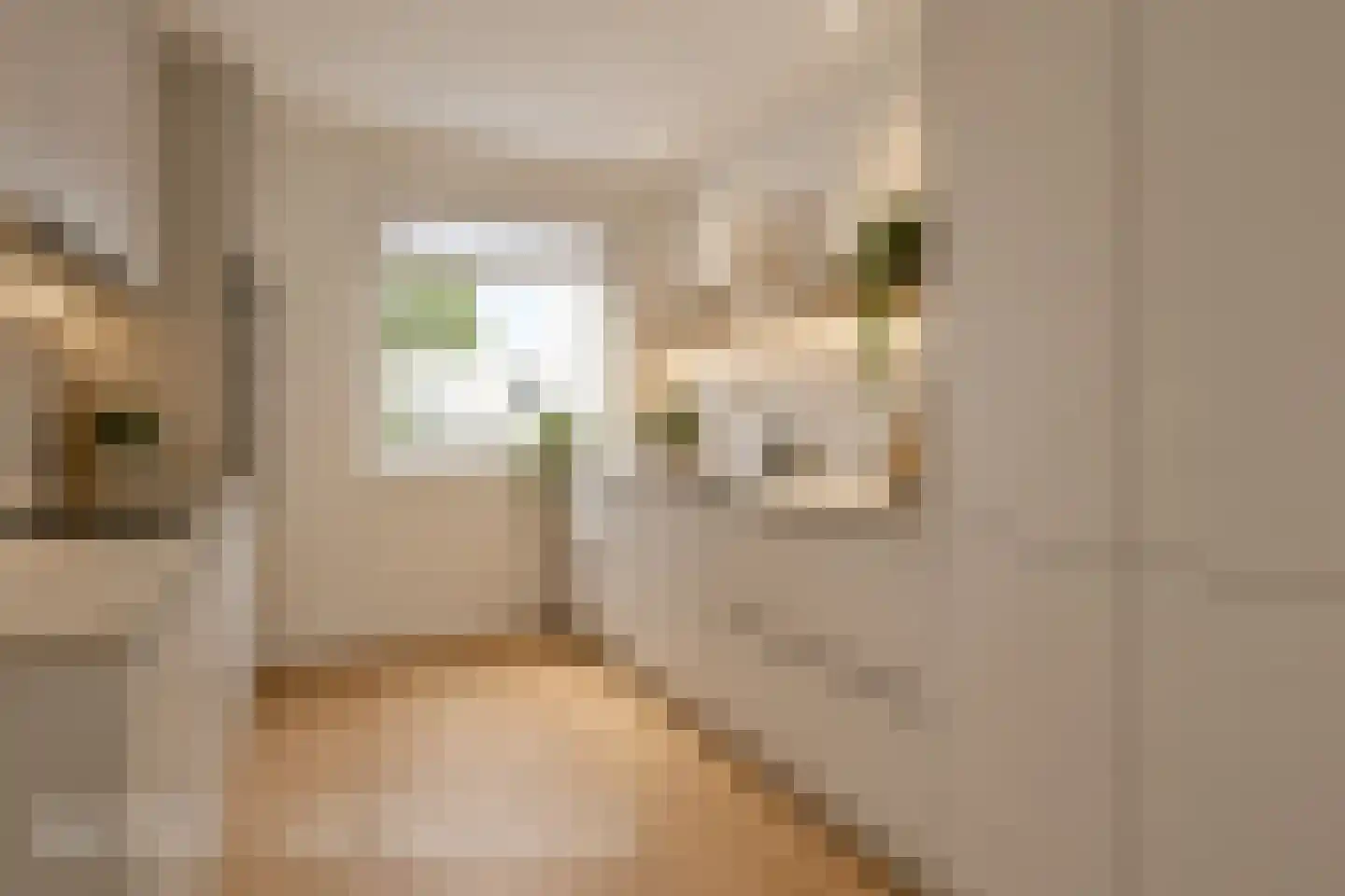 Julianalaan 4 0207 Baarn thumbnail 13