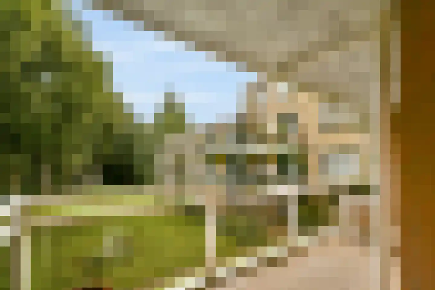 Julianalaan 4 0207 Baarn thumbnail 25