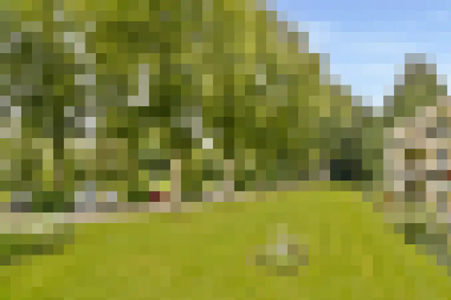 Julianalaan 4 0207 Baarn thumbnail 26