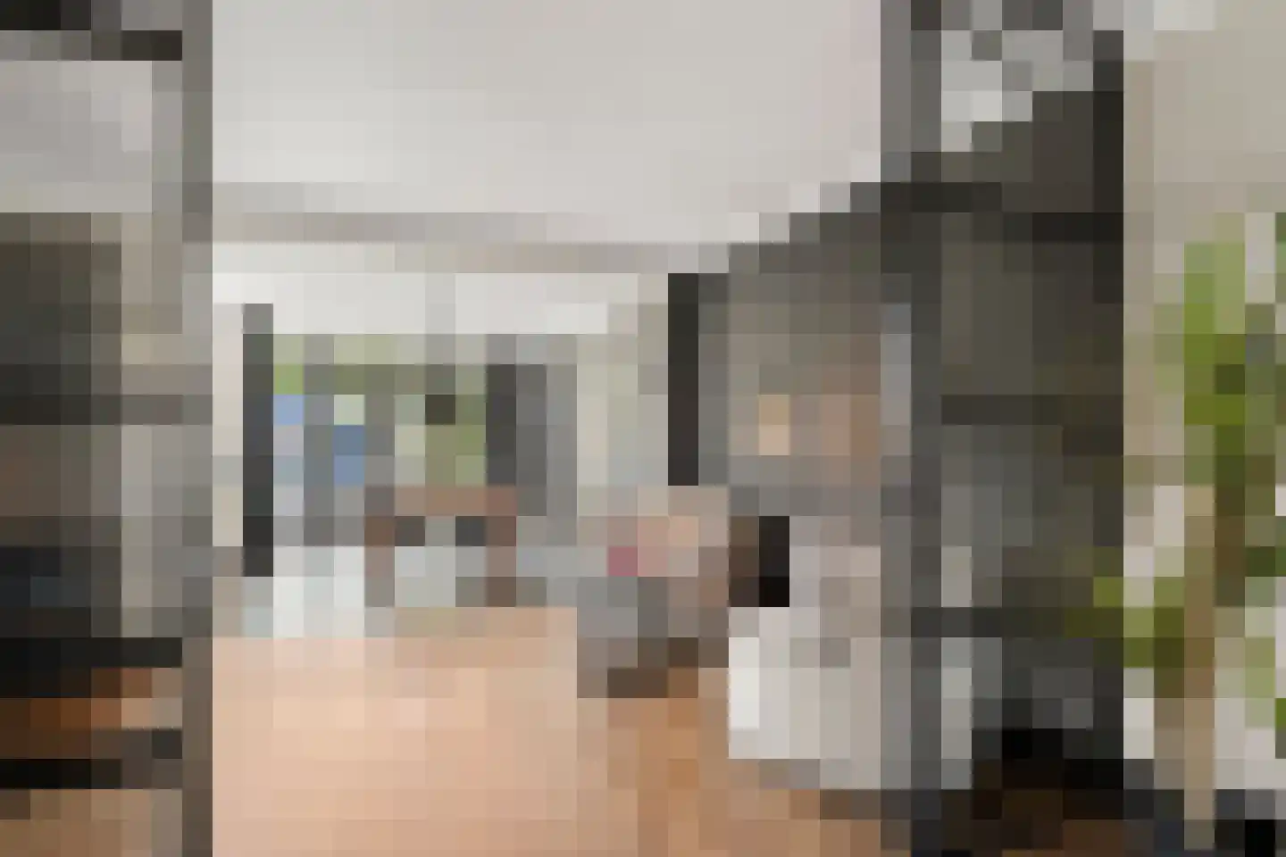 Julianalaan 4 Bennekom thumbnail 16