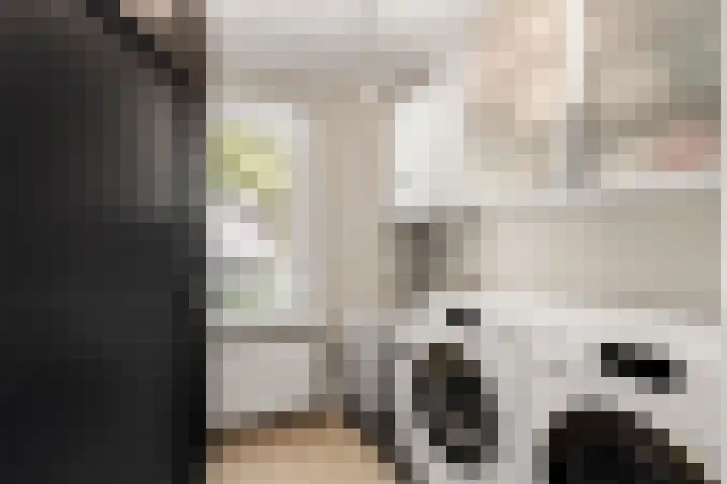 Julianalaan 4 Bennekom thumbnail 30