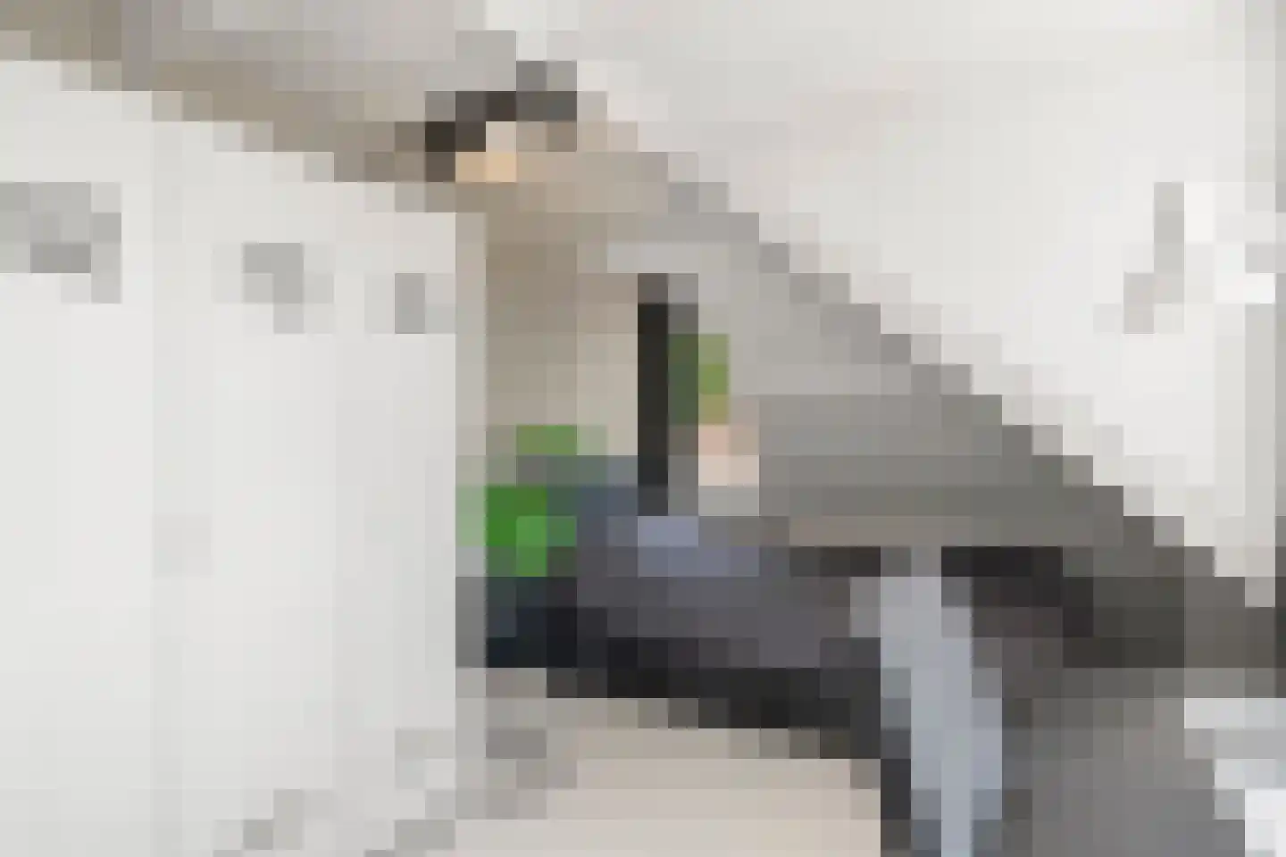 Julianalaan 4 Bennekom thumbnail 34