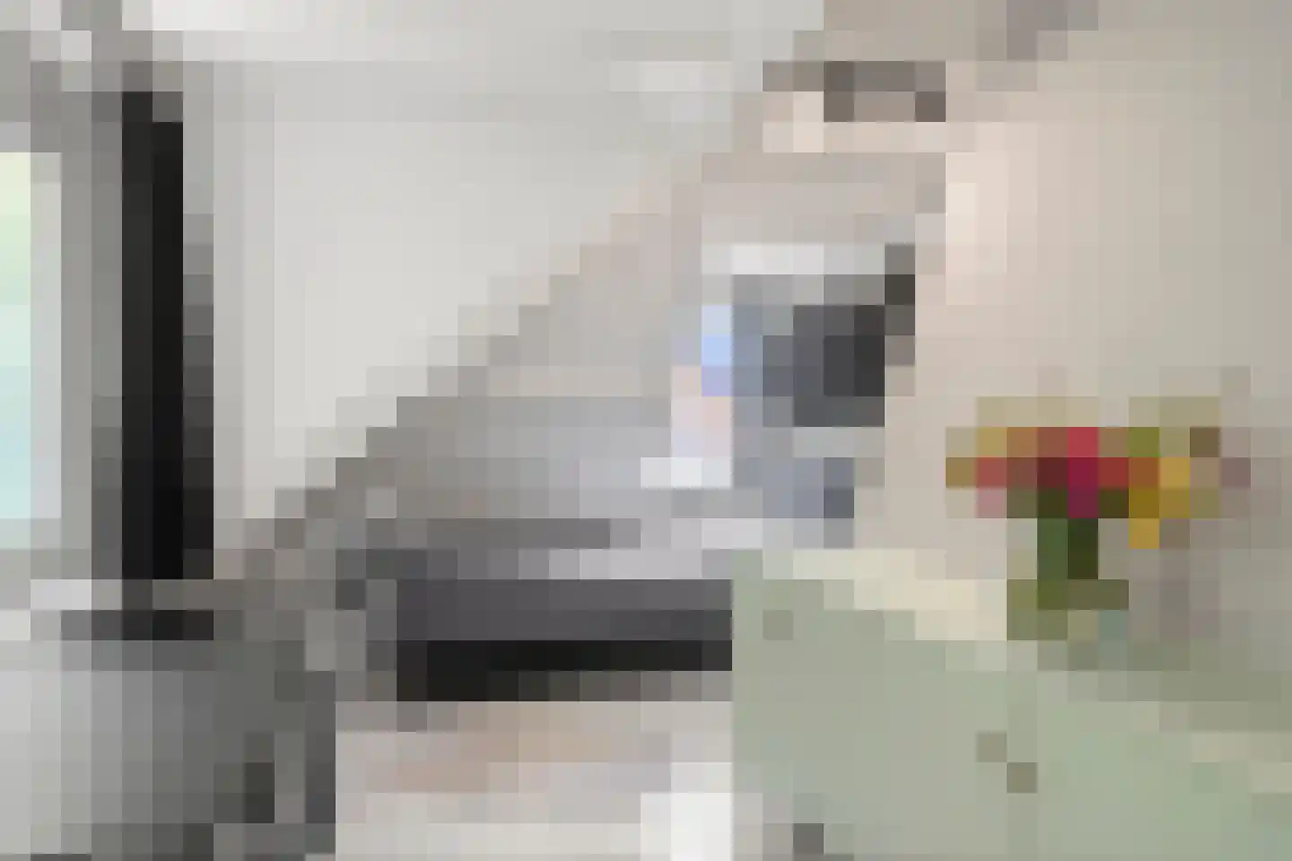 Julianalaan 4 Bennekom thumbnail 36