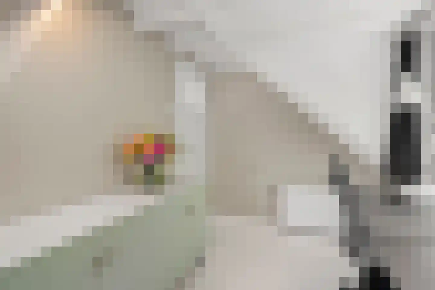 Julianalaan 4 Bennekom thumbnail 38