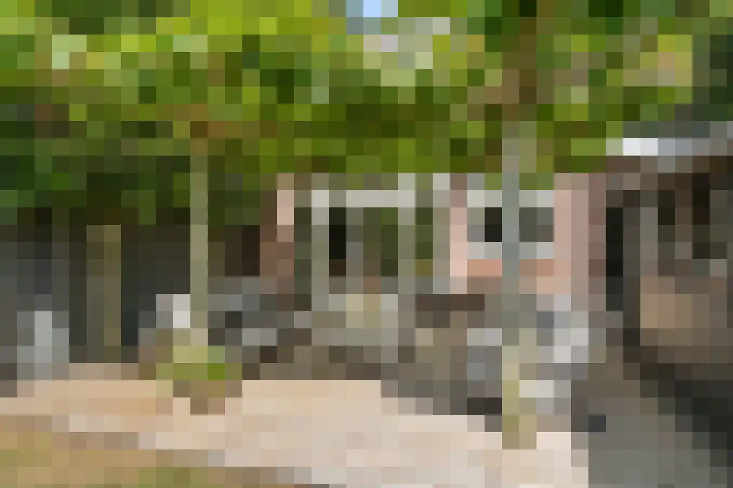 Julianalaan 4 Bennekom thumbnail 39