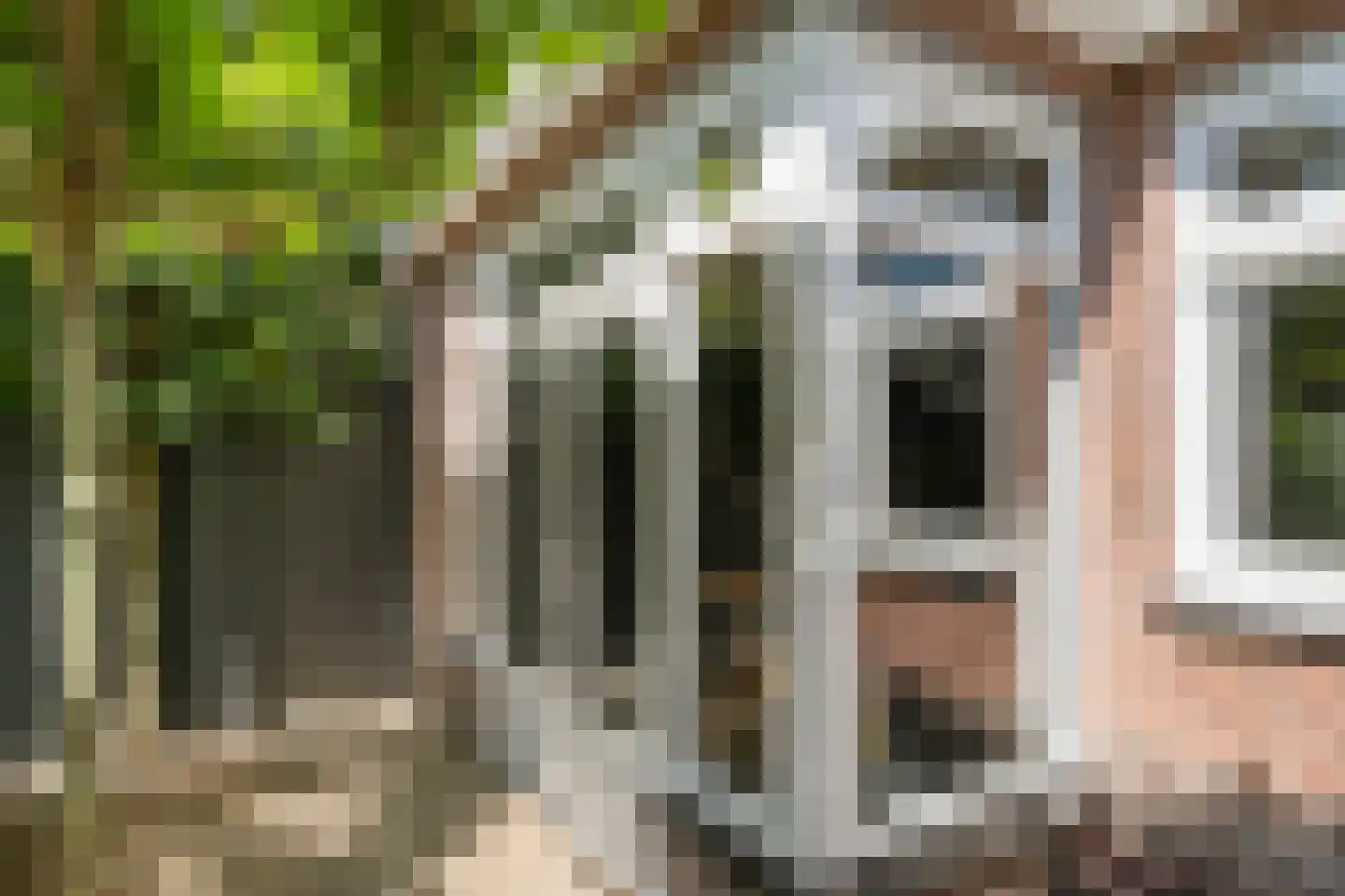 Julianalaan 4 Bennekom thumbnail 42