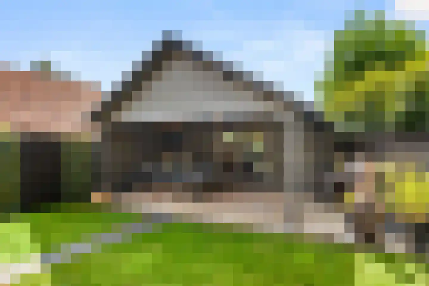 Julianalaan 4 Bennekom thumbnail 47